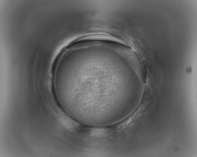 X0000091360342200708171528