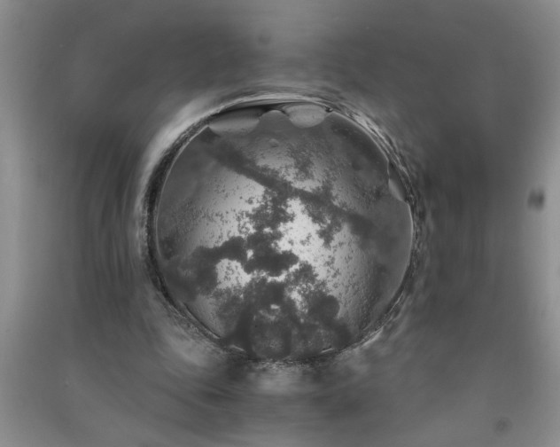 X0000091360343200708171528