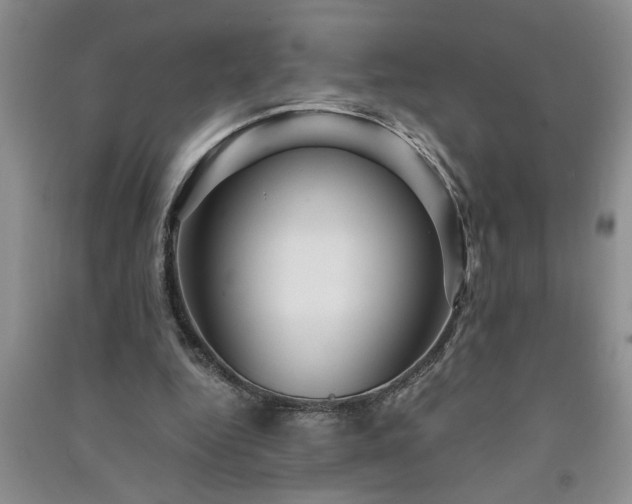 X0000091360344200708171528