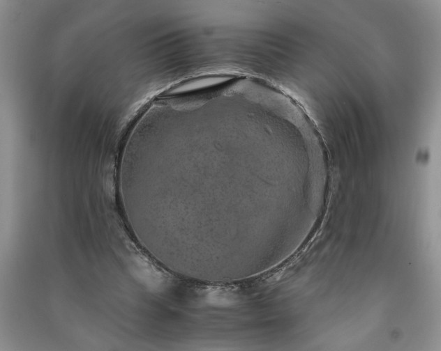 X0000091360345200708171528