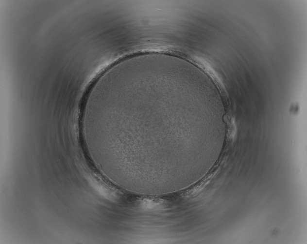 X0000091360346200708171528