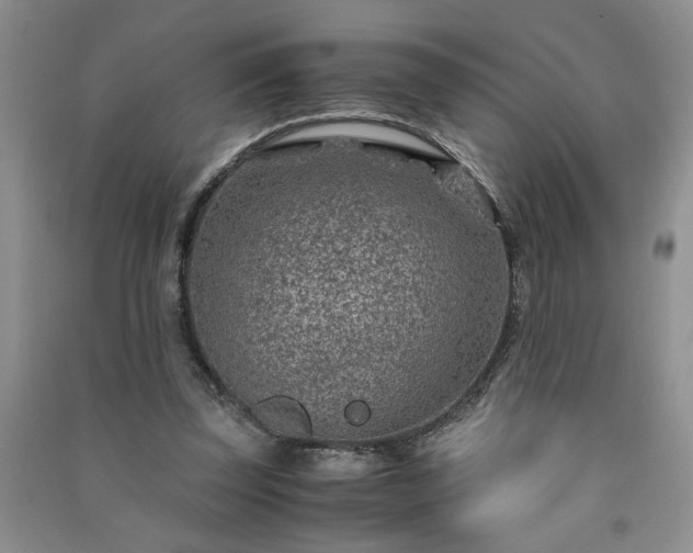 X0000091360347200708171528