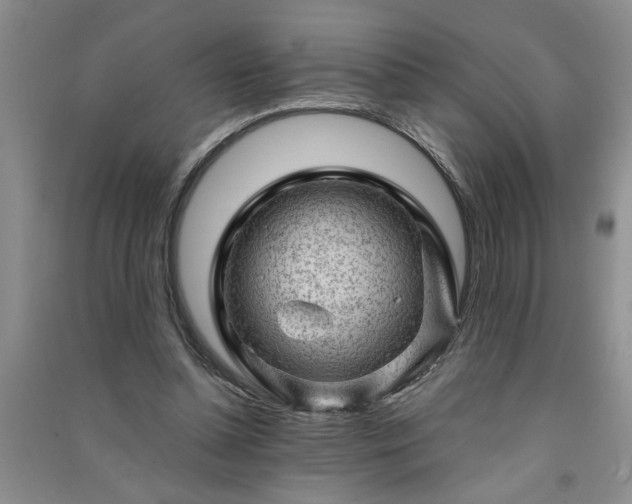 X0000091360348200708171528