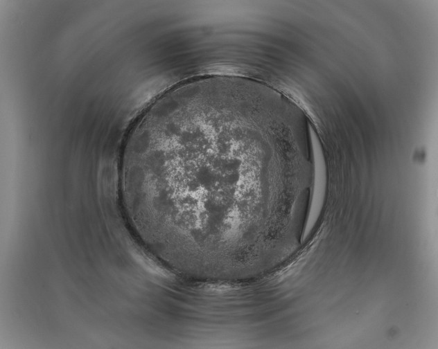 X0000091360349200708171528