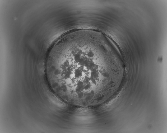 X0000091360351200708171528