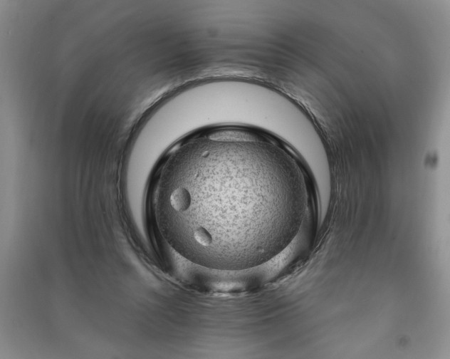 X0000091360352200708171528