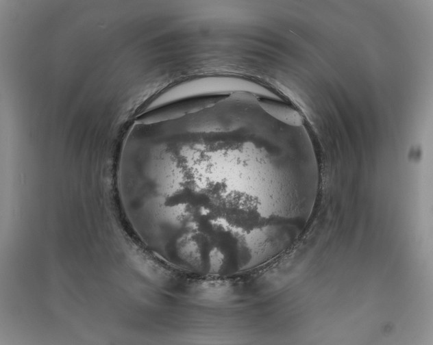 X0000091360353200708171528