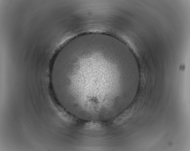 X0000091360354200708171528
