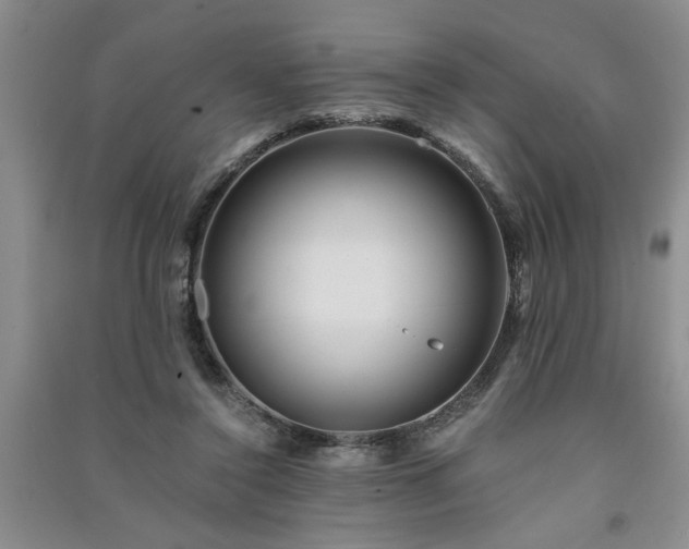 X0000091360356200708171528