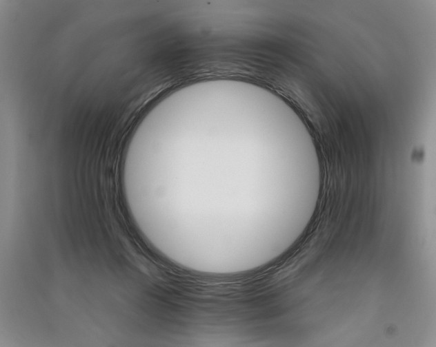 X0000091360360200708171529