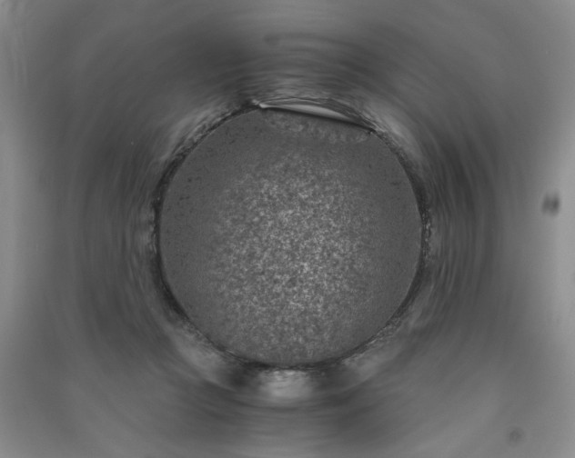 X0000091360361200708171529