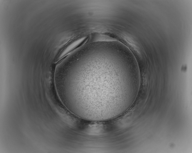 X0000091360362200708171529