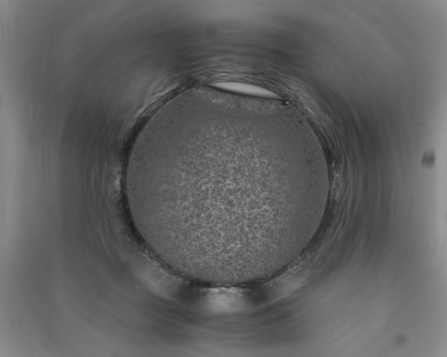 X0000091360363200708171529