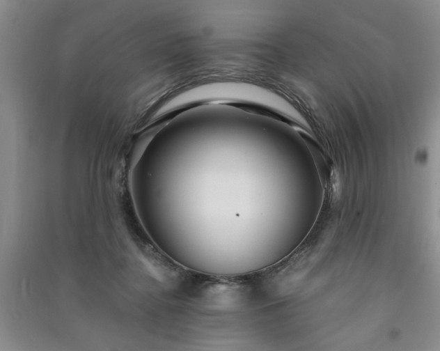 X0000091360364200708171529