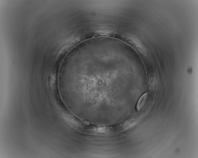 X0000091360365200708171529