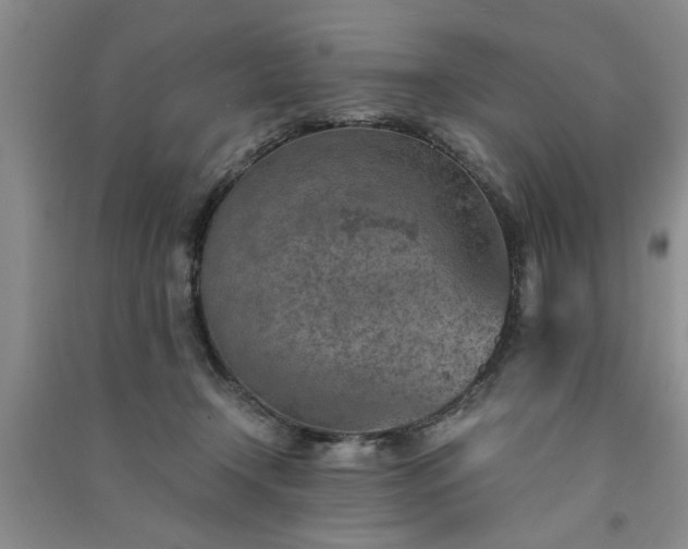 X0000091360366200708171529