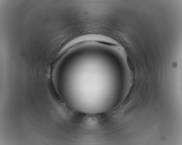 X0000091360368200708171529