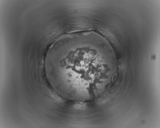 X0000091360369200708171529