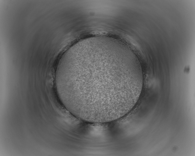 X0000091360370200708171529