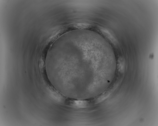 X0000091360371200708171529