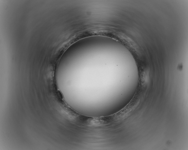 X0000091360372200708171529