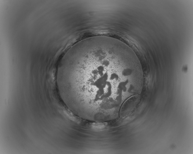 X0000091360373200708171529
