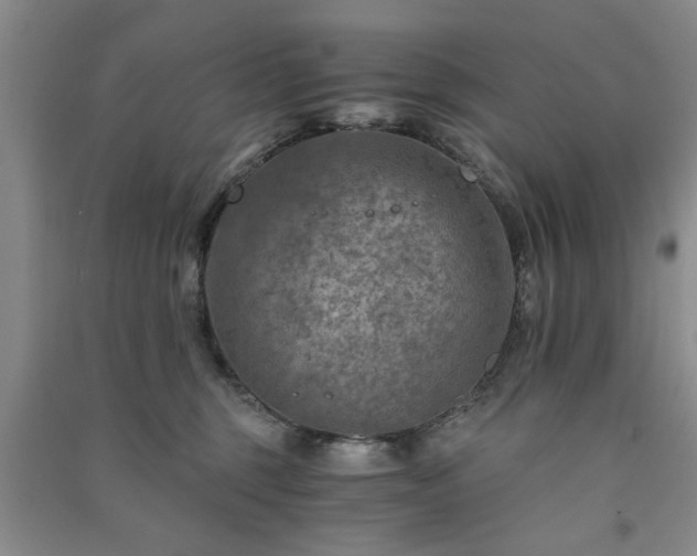 X0000091360375200708171529