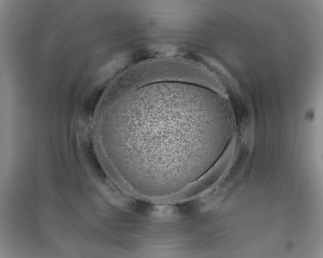 X0000091360376200708171529