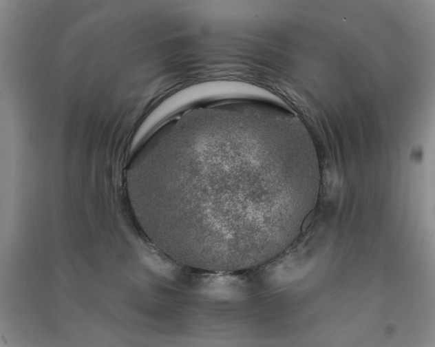 X0000091360379200708171529