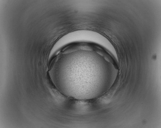 X0000091360380200708171529