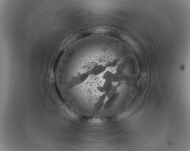 X0000091360381200708171529