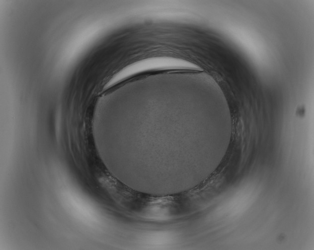 X0000091360382200708171529