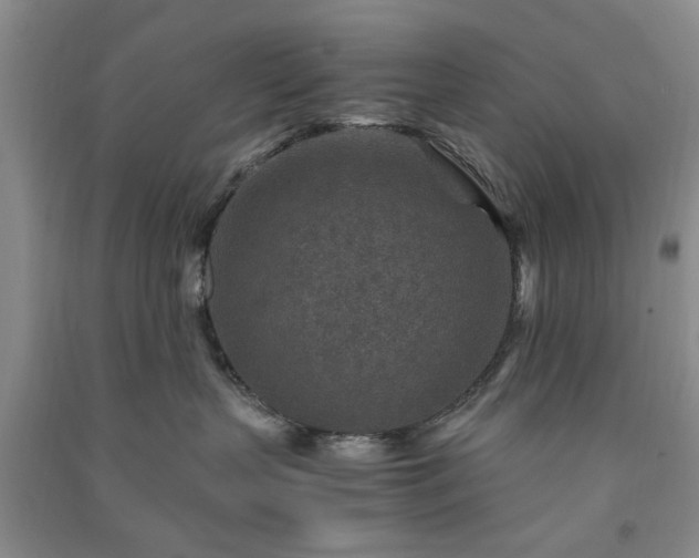 X0000091360383200708171529