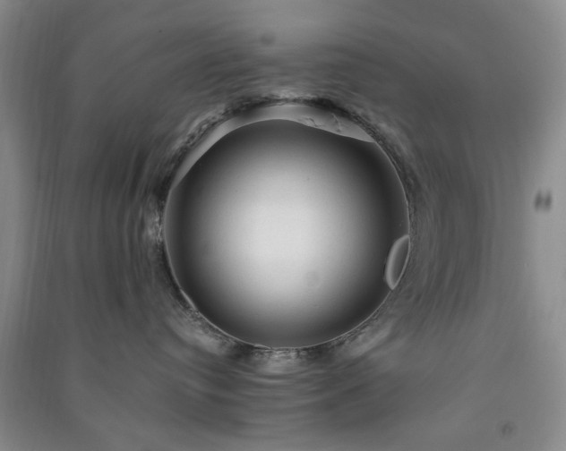 X0000091360384200708171529