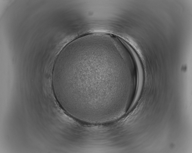 X0000091360385200708171528