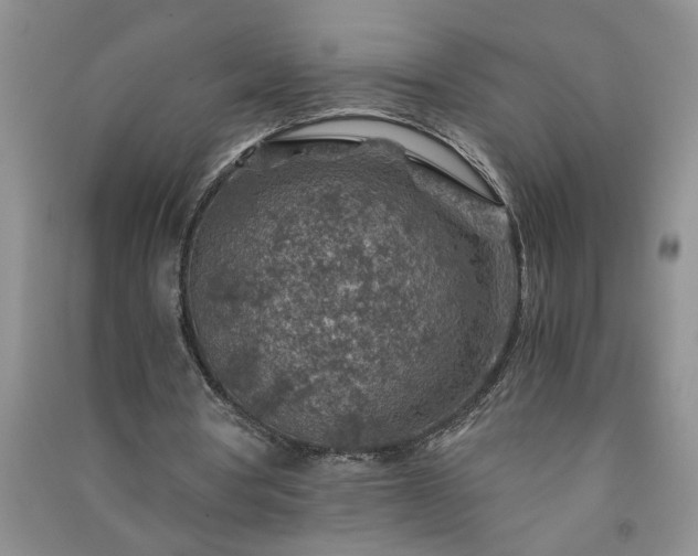 X0000091360386200708171528