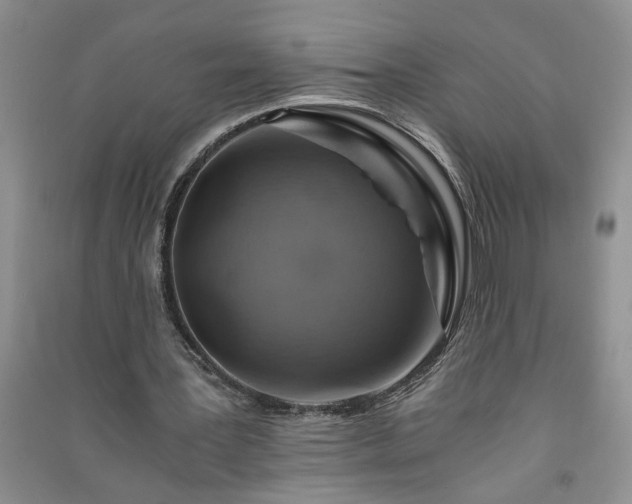 X0000091360387200708171528