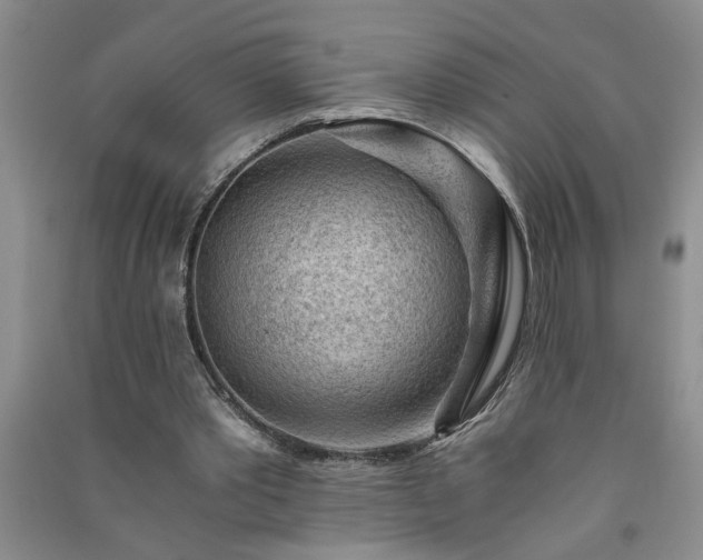 X0000091360389200708171528