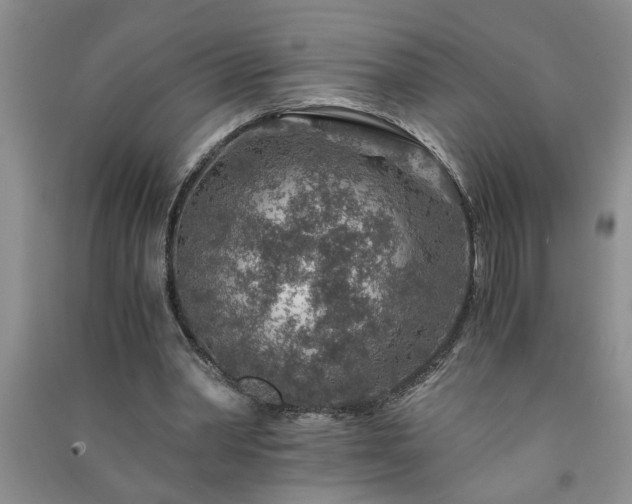 X0000091360390200708171528