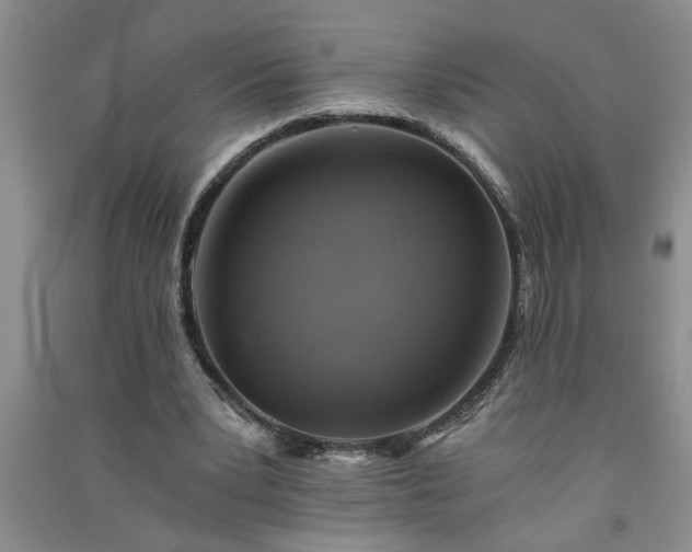 X0000091360391200708171528