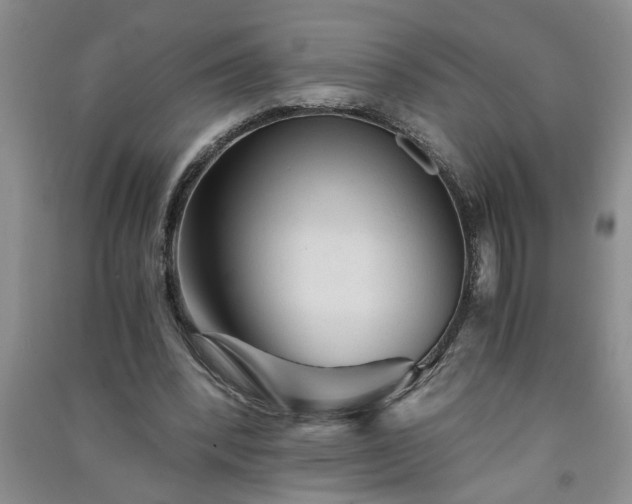X0000091360392200708171528