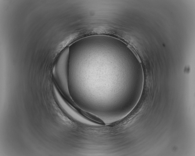 X0000091360393200708171528