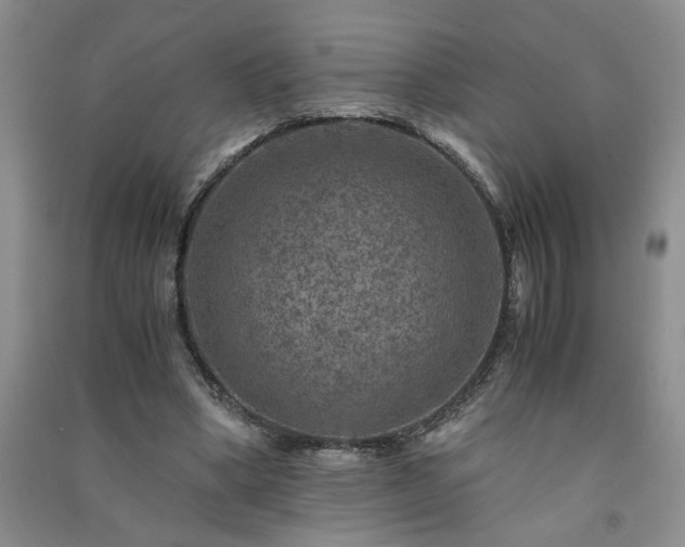 X0000091360394200708171528