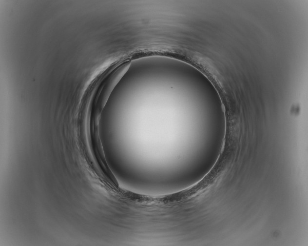 X0000091360395200708171528