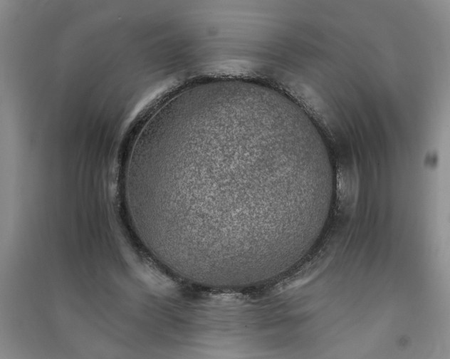 X0000091360396200708171528