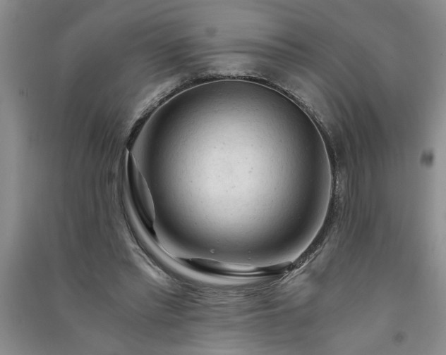 X0000091360397200708171528