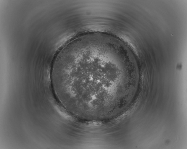 X0000091360398200708171528