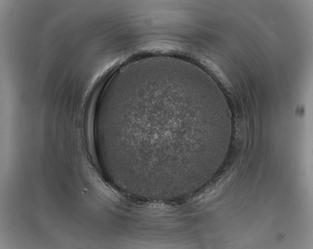 X0000091360399200708171528