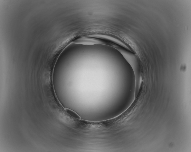 X0000091360401200708171528