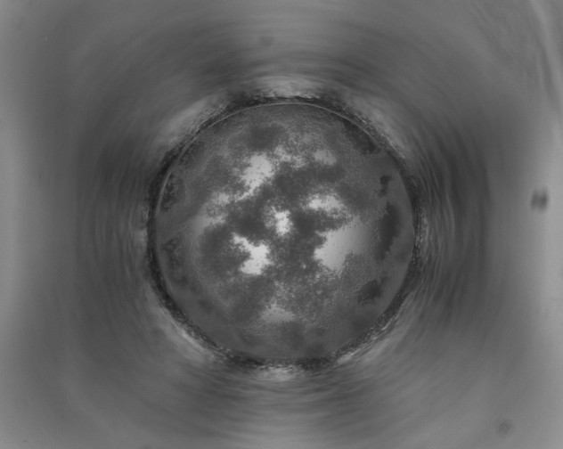 X0000091360402200708171528